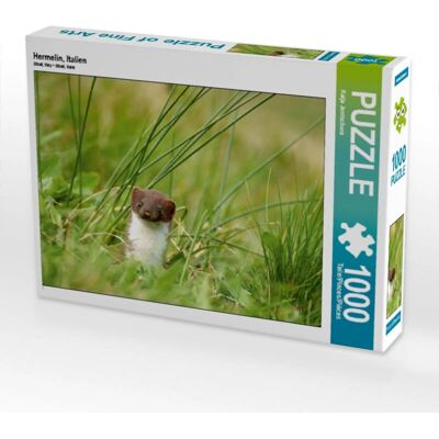 CALVENDO - Hermine Italie 1000 - 64 x 48 cm - Puzzel CALVENDO - Hermine Italie 1000 - 64 x 48 cm - Puzzel