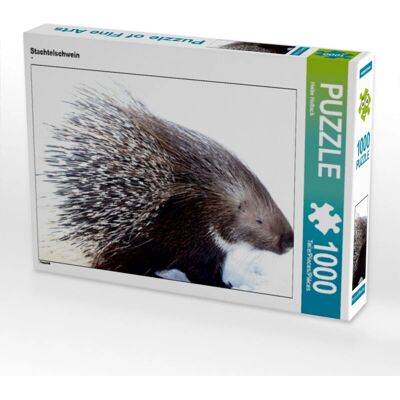 CALVENDO - Stachtelschwein - 1000 piezas - Jigsaw puzzle CALVENDO - Stachtelschwein - 1000 piezas - Jigsaw puzzle