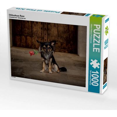 CALVENDO - 4056502153818 - Chihuahuas - Rosa - Puzzle CALVENDO - 4056502153818 - Chihuahuas - Rosa - Puzzle