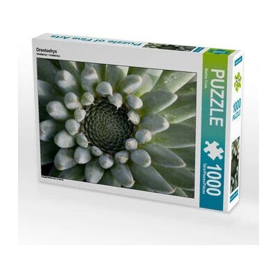 Calvendo - Orostachys - 1000 piezas - 64 x 48 cm - Puzzle Calvendo - Orostachys - 1000 piezas - 64 x 48 cm - Puzzle