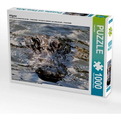 CALVENDO - Alligator - 64x48 cm - Rompecabezas CALVENDO - Alligator - 64x48 cm - Rompecabezas