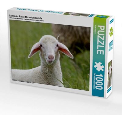 Calvendo - Agnello Merinoland - Puzzle Calvendo - Agnello Merinoland - Puzzle