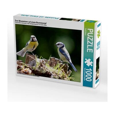 Calvendo - 4056502310709 - 1000 pieces - 64 x 48 cm - Puzzle - Publicité Calvendo - 4056502310709 - 1000 pieces - 64 x 48 cm - Puzzle - Publicité