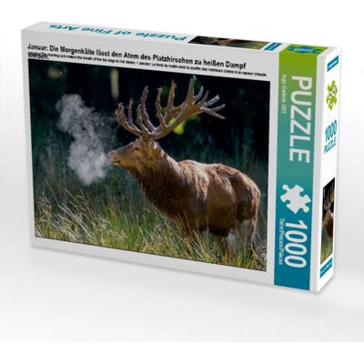 Calvendo - 4056502336464 - 1000 pezzi - Puzzle - Puzzle Calvendo - 4056502336464 - 1000 pezzi - Puzzle - Puzzle