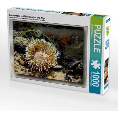 CALVENDO - 4056502364269 - 1000 Piezas - 64 x 48 cm - Rompecabezas CALVENDO - 4056502364269 - 1000 Piezas - 64 x 48 cm - Rompecabezas