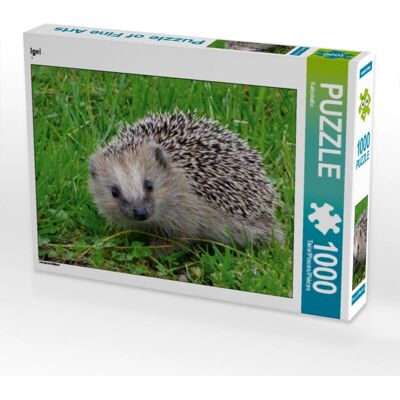 CALVENDO - Igel 1000 Teile - Puzzle - Publicité CALVENDO - Igel 1000 Teile - Puzzle - Publicité