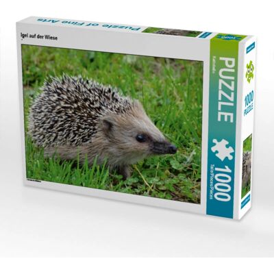 CALVENDO - Igel Auf der Wiese - 1000 Teile - 64 x 48 cm - Puzzle CALVENDO - Igel Auf der Wiese - 1000 Teile - 64 x 48 cm - Puzzle