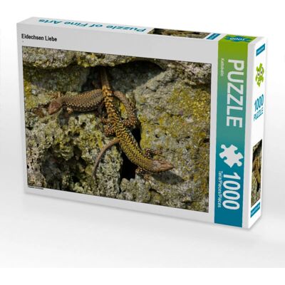 Calvendo - Eidechsen Liebe 1000 Pezzi - 64 x 48 cm - Puzzle Calvendo - Eidechsen Liebe 1000 Pezzi - 64 x 48 cm - Puzzle