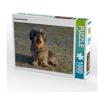 CALVENDO - 4056502378464 - 1000 darab - Dachshund - puzzle CALVENDO - 4056502378464 - 1000 darab - Dachshund - puzzle