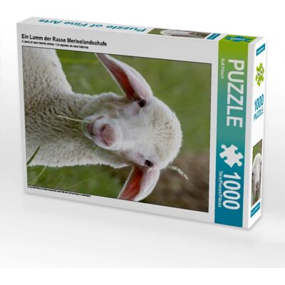 Calvendo - Merinolandschaf Lamb - 1000 Pezzi - Puzzle Calvendo - Merinolandschaf Lamb - 1000 Pezzi - Puzzle