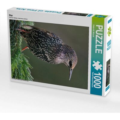 CALVENDO - Puzzle Star 1000 - 1000 Teile - Puzzle CALVENDO - Puzzle Star 1000 - 1000 Teile - Puzzle