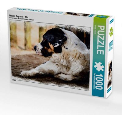 CALVENDO - Mastin Espanol Mix - 1000 Piezas - Puzzle CALVENDO - Mastin Espanol Mix - 1000 Piezas - Puzzle