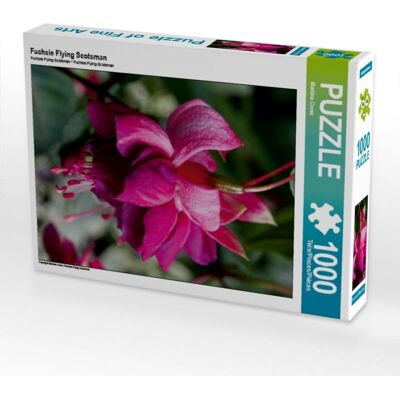 CALVENDO - 4056502506010 - Fuchsia Flying Scotsman - Puzzle CALVENDO - 4056502506010 - Fuchsia Flying Scotsman - Puzzle