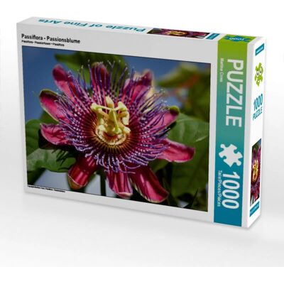 CALVENDO - Passiflora - 64 x 48 cm - 1000 piezas - Rompecabezas CALVENDO - Passiflora - 64 x 48 cm - 1000 piezas - Rompecabezas