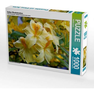 CALVENDO 4056502526520 Rododendro giallo 1000 pezzi 64 x 48 cm puzzle CALVENDO 4056502526520 Rododendro giallo 1000 pezzi 64 x 48 cm puzzle
