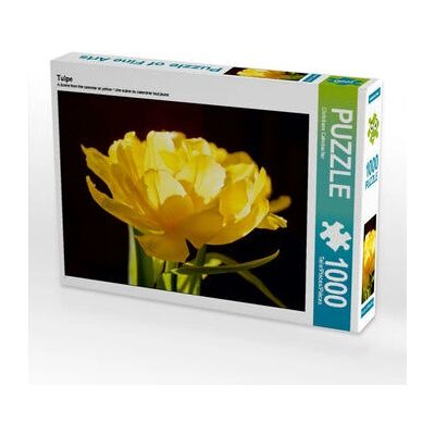 CALVENDO - Tulipe - 1000 Piezas - 64x48 cm - Rompecabezas CALVENDO - Tulipe - 1000 Piezas - 64x48 cm - Rompecabezas