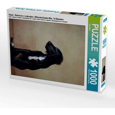 Calvendo - Hazel Retriever - 1000 pezzi - Puzzle Calvendo - Hazel Retriever - 1000 pezzi - Puzzle