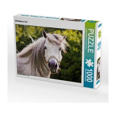 CALVENDO - Welshpony Lulu - 1000 piezas - 64 x 48 cm - Puzzle CALVENDO - Welshpony Lulu - 1000 piezas - 64 x 48 cm - Puzzle