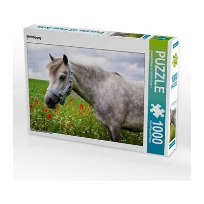 Calvendo - 4056502577942 - Welshpony - 1000 piezas - Puzzle Calvendo - 4056502577942 - Welshpony - 1000 piezas - Puzzle