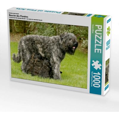 Calvendo - Bouvier des Flandres 1000 Pezzi 64 x 48 cm - Puzzle Calvendo - Bouvier des Flandres 1000 Pezzi 64 x 48 cm - Puzzle