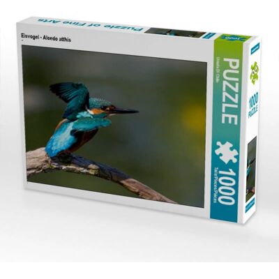 CALVENDO - Martin-pêcheur - Alcedo atthis - 1000 Piezas CALVENDO - Martin-pêcheur - Alcedo atthis - 1000 Piezas