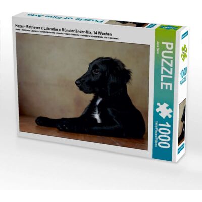 CALVENDO - Hazel Retriever mix - 1000 pezzi - 64 x 48 cm - Puzzle CALVENDO - Hazel Retriever mix - 1000 pezzi - 64 x 48 cm - Puzzle