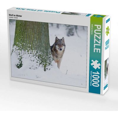 CALVENDO - 4056502638339 - 1000 pezzi - Puzzle CALVENDO - 4056502638339 - 1000 pezzi - Puzzle