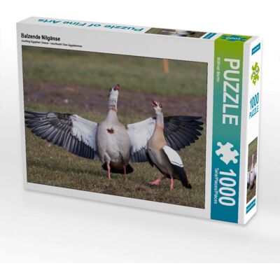 Calvendo 4056502638643 accoppiamento oche egiziane 1000 pezzi 64 x 48 cm puzzle Calvendo 4056502638643 accoppiamento oche egiziane 1000 pezzi 64 x 48 cm puzzle