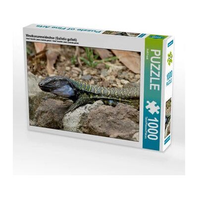 Calvendo - 4056502648475 - 1000 pezzi - Animali - Puzzle Calvendo - 4056502648475 - 1000 pezzi - Animali - Puzzle