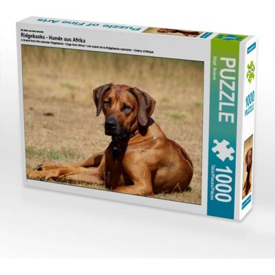 CALVENDO - Ridgebacks - Chiens d'Afrique - 1000 piezas - Rompecubos CALVENDO - Ridgebacks - Chiens d'Afrique - 1000 piezas - Rompecubos