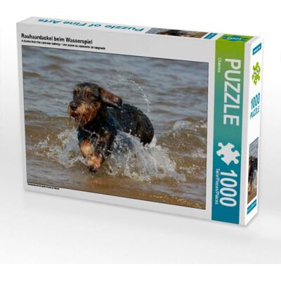 CALVENDO - Teckel à Poil Dur - 1000 Pièces - Puzzle - Publicité CALVENDO - Teckel à Poil Dur - 1000 Pièces - Puzzle - Publicité