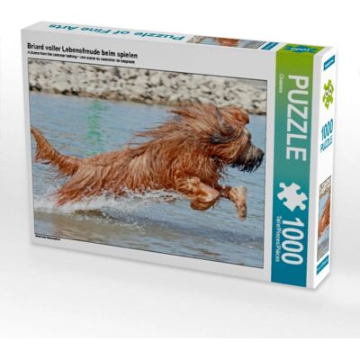 Calvendo - 4056502673194 - 1000 piezas - Puzzle Calvendo - 4056502673194 - 1000 piezas - Puzzle