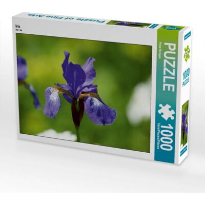 CALVENDO - 4056502719939 - Iris - 1000 Piezas - Puzzle CALVENDO - 4056502719939 - Iris - 1000 Piezas - Puzzle