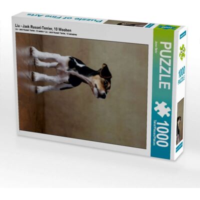 CALVENDO - LIU JRT - 1000 piezas - 48 x 64 cm - Puzzle CALVENDO - LIU JRT - 1000 piezas - 48 x 64 cm - Puzzle