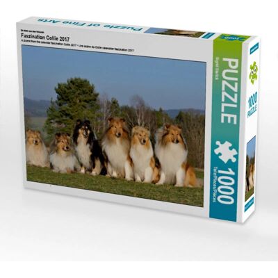 Calvendo - Collie 2017 - 1000 piezas - 64 x 48 cm - Puzzle Calvendo - Collie 2017 - 1000 piezas - 64 x 48 cm - Puzzle