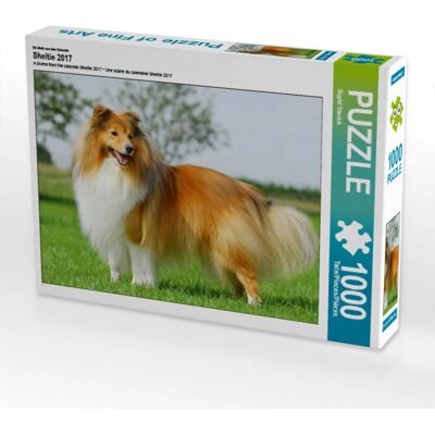 CALVENDO - Sheltie 2017 - 1000 Piezas - 64 x 48 cm - Rompecabezas CALVENDO - Sheltie 2017 - 1000 Piezas - 64 x 48 cm - Rompecabezas