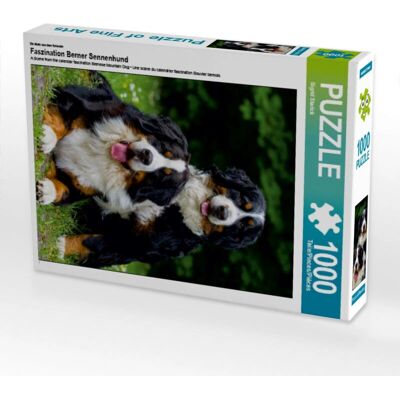 CALVENDO - 4056502770961 - 1000 pieces - Puzzle - Publicité CALVENDO - 4056502770961 - 1000 pieces - Puzzle - Publicité