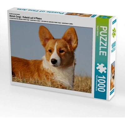 CALVENDO - 4056502771500 - Welsh Corgi - Rompecabezas CALVENDO - 4056502771500 - Welsh Corgi - Rompecabezas