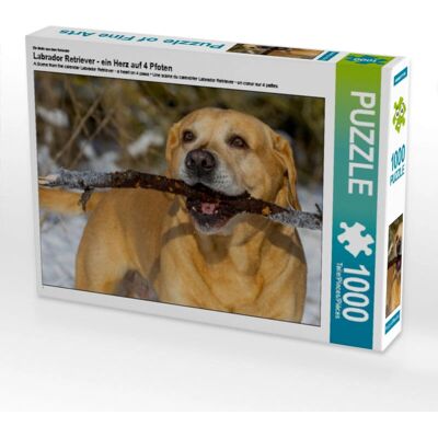 CALVENDO - Labrador Retriever - 1000 piezas - 64 x 48 cm - Puzzle CALVENDO - Labrador Retriever - 1000 piezas - 64 x 48 cm - Puzzle