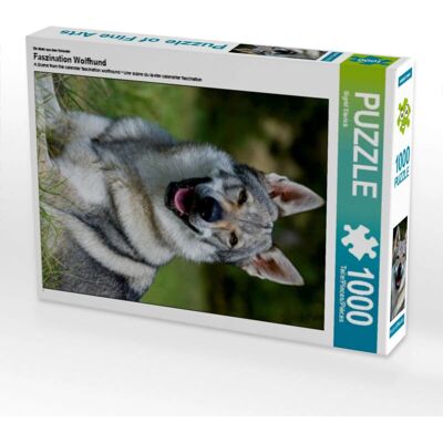 CALVENDO - 4056502772002 - 1000 pezzi - 48 x 64 cm - Puzzle CALVENDO - 4056502772002 - 1000 pezzi - 48 x 64 cm - Puzzle