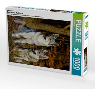 CALVENDO - Puzzle Fascination Wolfhound - 1000 Pezzi CALVENDO - Puzzle Fascination Wolfhound - 1000 Pezzi