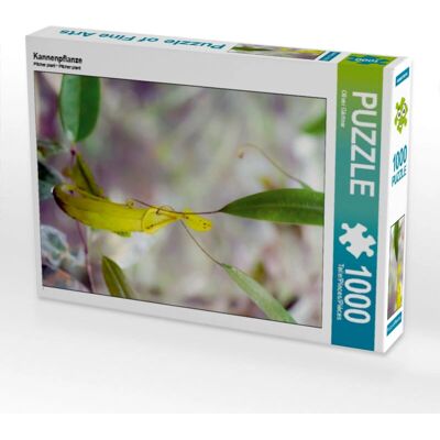 Calvendo - Plante sarracénie - 1000 piezas - 48 × 64 cm - Rompecabezas Calvendo - Plante sarracénie - 1000 piezas - 48 × 64 cm - Rompecabezas