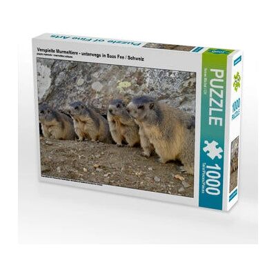 CALVENDO - 4056502859321 - Animales - 64 x 48 cm - Puzzle CALVENDO - 4056502859321 - Animales - 64 x 48 cm - Puzzle