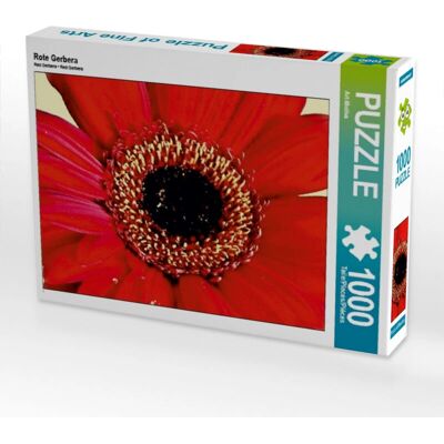 CALVENDO Gerbera Rouge - 1000 piezas - 64 x 48 cm - Puzzle CALVENDO Gerbera Rouge - 1000 piezas - 64 x 48 cm - Puzzle