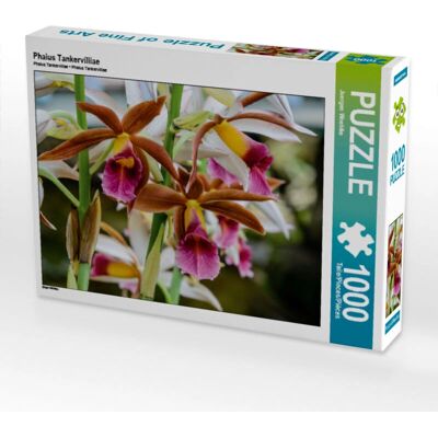 Calvendo - Phaius Tankervilliae 1000 Pieces - 64 x 48 cm - Puzzle Calvendo - Phaius Tankervilliae 1000 Pieces - 64 x 48 cm - Puzzle