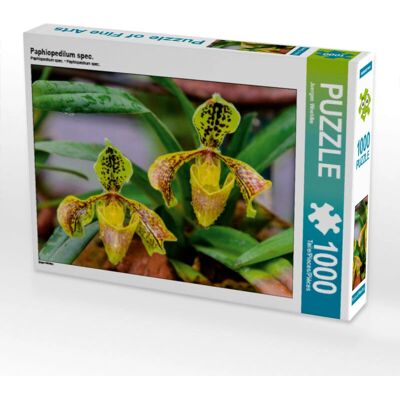 CALVENDO - 4056502871910 - 1000 piezas - Puzzle CALVENDO - 4056502871910 - 1000 piezas - Puzzle
