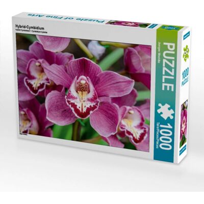 CALVENDO - Hybrid-Cymbidium - 1000 Piezas - 64 x 48 cm - puzzle CALVENDO - Hybrid-Cymbidium - 1000 Piezas - 64 x 48 cm - puzzle