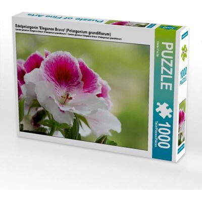 CALVENDO - Pelargonium 'Elegance Bravo' - 1000 piezas - 64 x 48 cm - Rompecabezas CALVENDO - Pelargonium 'Elegance Bravo' - 1000 piezas - 64 x 48 cm - Rompecabezas