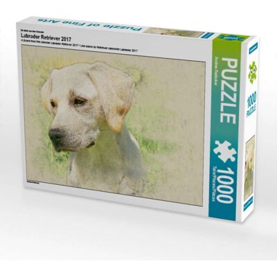 Calvendo - Labrador Retriever 2017 - 1000 Piezas - Puzzle Calvendo - Labrador Retriever 2017 - 1000 Piezas - Puzzle
