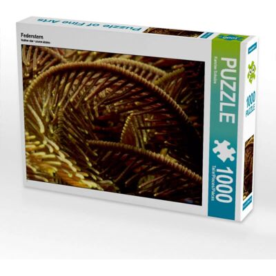 CALVENDO - Étoile de Plumes - 64 x 48 cm - 1000 piezas - Puzzle CALVENDO - Étoile de Plumes - 64 x 48 cm - 1000 piezas - Puzzle